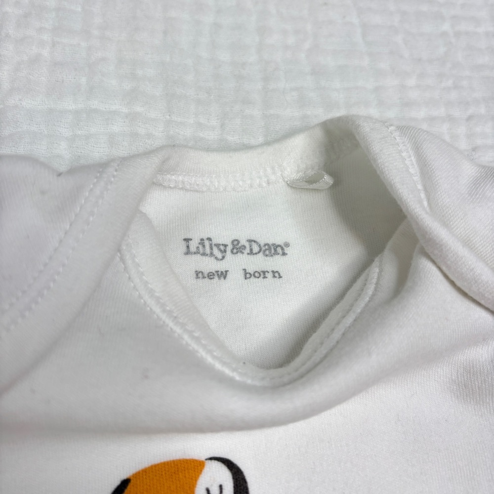Summer Baby Bundle Size 0-3 Month - Baby Gap Firsts by Petit Lem Lily & Dan - Picture 11 of 16
